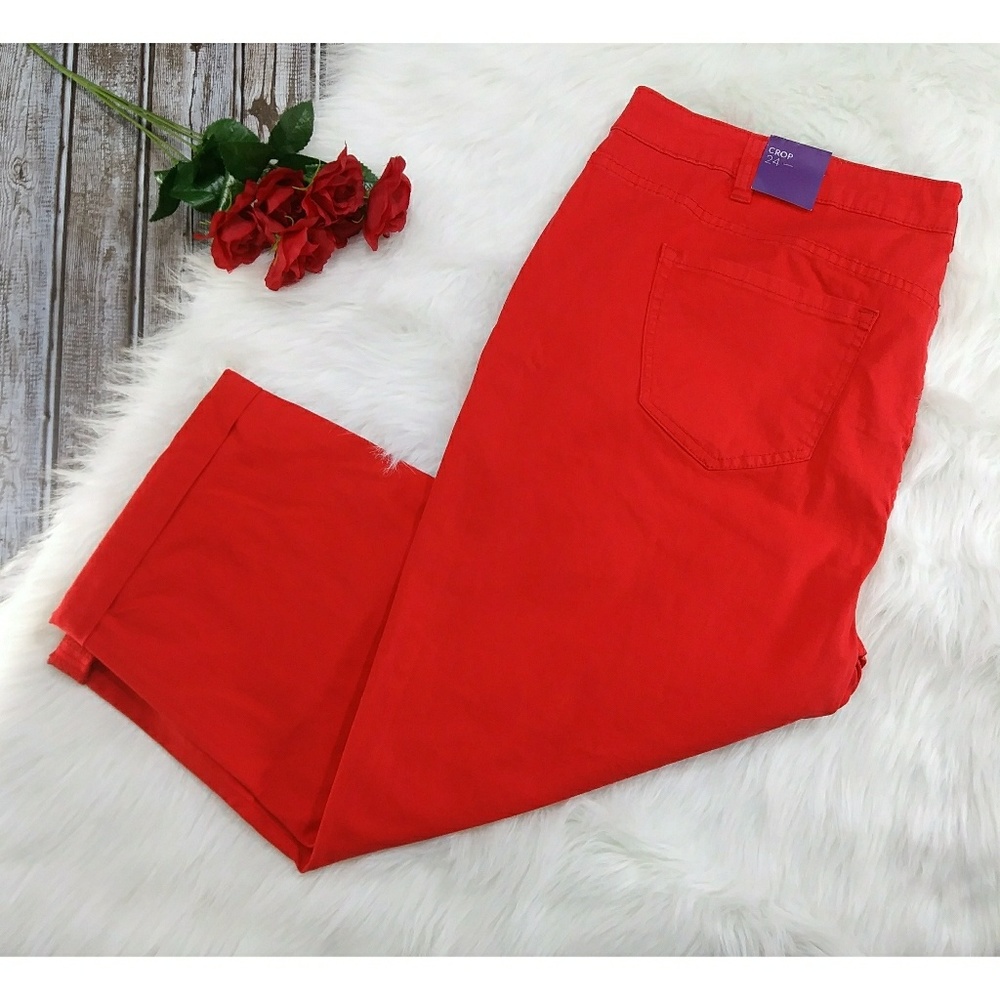 Lane Bryant Crop Pants Sz 24 NWT